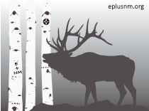 EPLUS New Mexico
